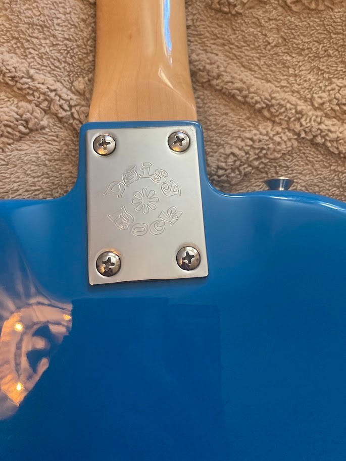 Daisy Rock Blue Flower Electric Guitar | eBay