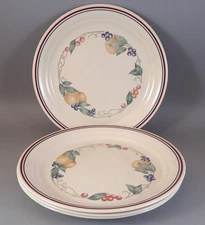 Corelle Abundance 8 1/2" Luncheon Plates (Set of 4) Corning Discontinued