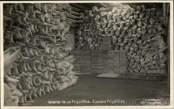 RPPC Interior de un Frigorifico, Cámara Frigorifica Foto Real Postal De Colección