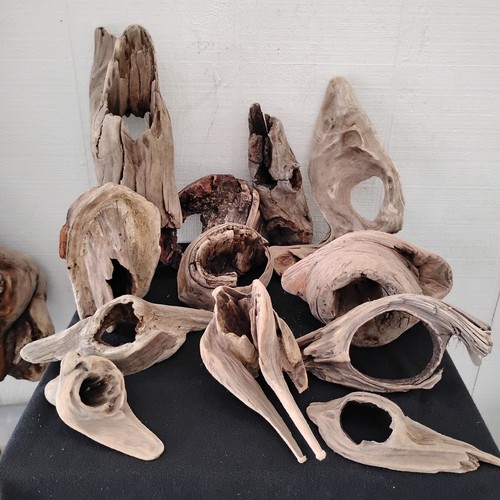 Lot Of Driftwood (13 Pieces ) With Holes Unique Shapes Good Size Chunks #DH002B