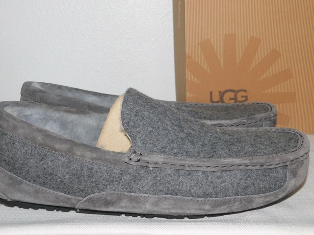 ugg ascot wool
