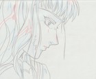 The Twelve Kingdoms Juuni Kokki Genga Douga Original Sketches Pierrot - Youko — photo 7