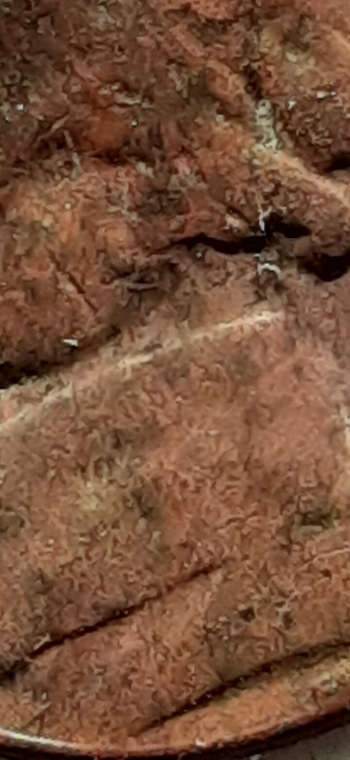 Picture 10 of 24
