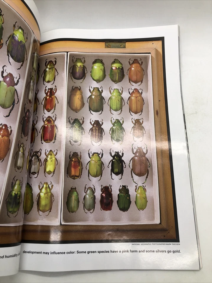 NATIONAL GEOGRAPHIC February 2001 Jewel Scarabs, Bushmen, The Andes, Mars Foto 3 de 4
