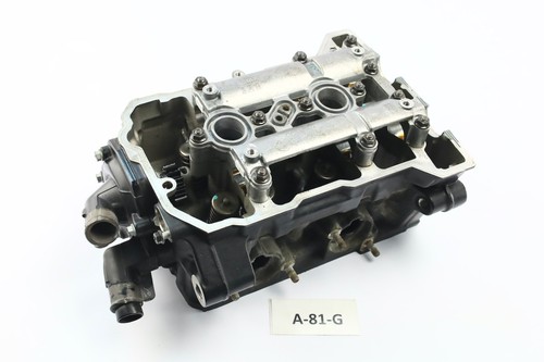 BMW F 800 R 802EA 2009 - Zylinderkopf 6613981 A81G