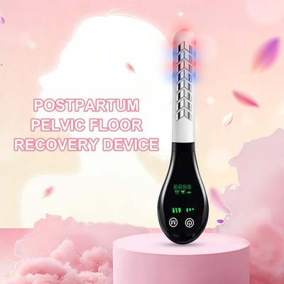 Pelvic Floor Muscle Device for Women Designed for Health and Simple Operation