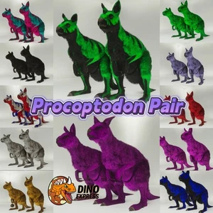 Procoptodon Pair ARK🦕 Survival Ascended ASA PVE PC/XBOX/PS