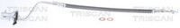 Bremsschlauch Triscan 8150 43242 FüR Hyundai FÉ Jc Cm Sorento Santa Kia 2 Suv Xm