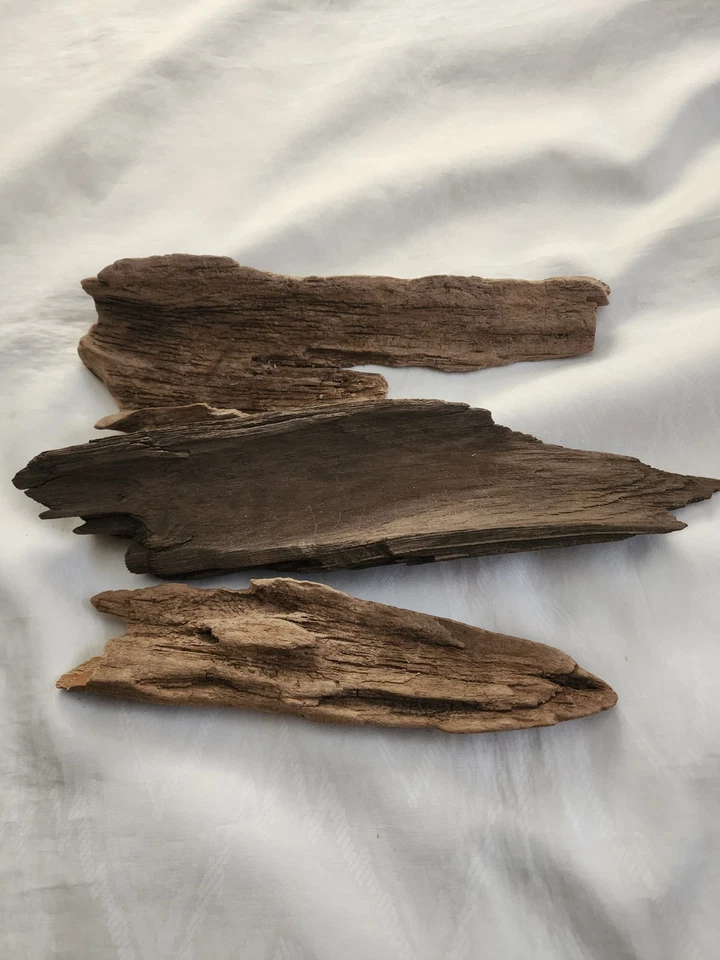 Small Lot of 4 Natural Driftwood Pieces – Unique and Perfect for Crafting - Image 4 of 4