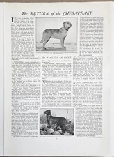 1919 Chesapeake Bay Retrievers American Club Breed Standard Photos Magazine Pges