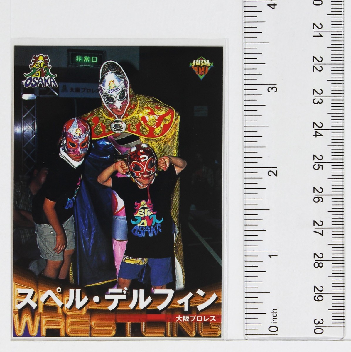 SUPER DELFIN - 1999 BBM Pro-Wrestling Trading Card | eBay