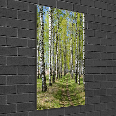 Wand-Bild Kunstdruck aus Acryl-Glas Hochformat 50x100 Birkenwald