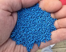 5000 CRIMSON RED CLOVER SEEDS ----- COVER CROP -- NON GMO ---- COATED / TREATED