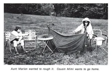 CONTINENTAL SIZE POSTCARD AUNT MARION AND COUSIN MIMI (TYPE 3) BECOMING SCARCER