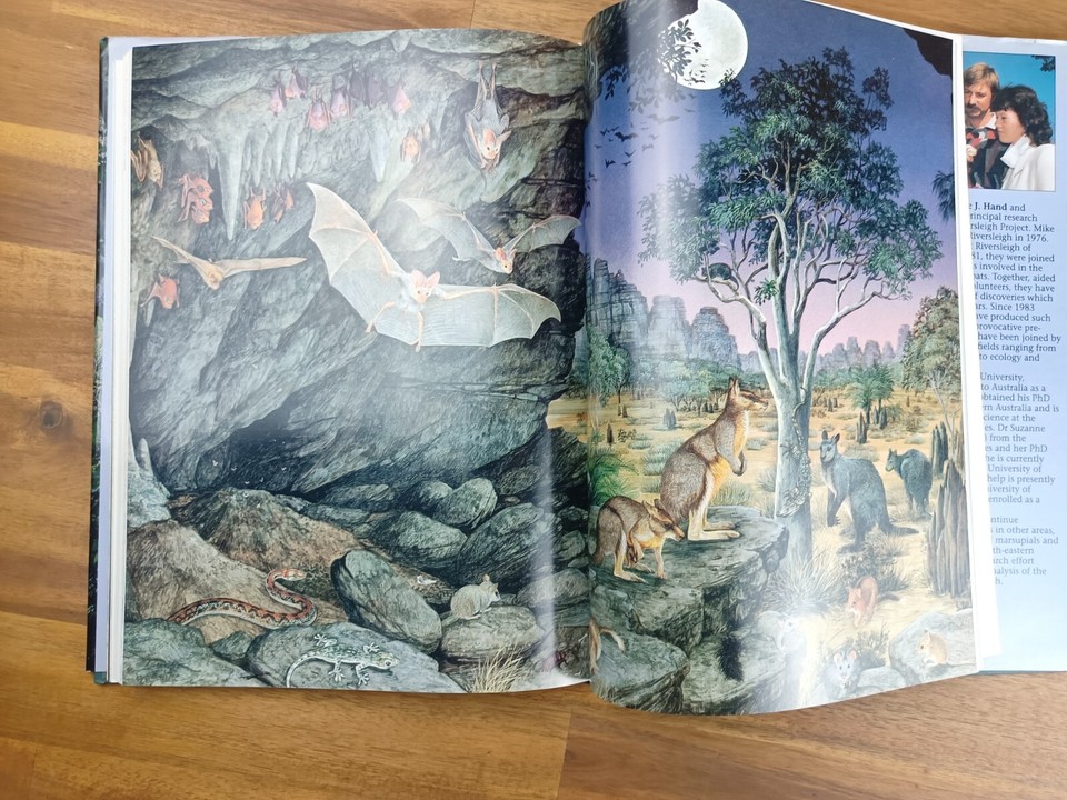 RIVERSLEIGH Animals In Ancient Rainforests of inland Australia Michael ...