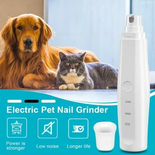 Dog Agility Training