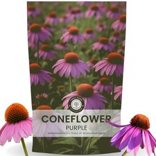 Purple Coneflower Seeds – 28,000 Count for Planting – 2026 Season – 4 Ounce 129.00 per gallon
