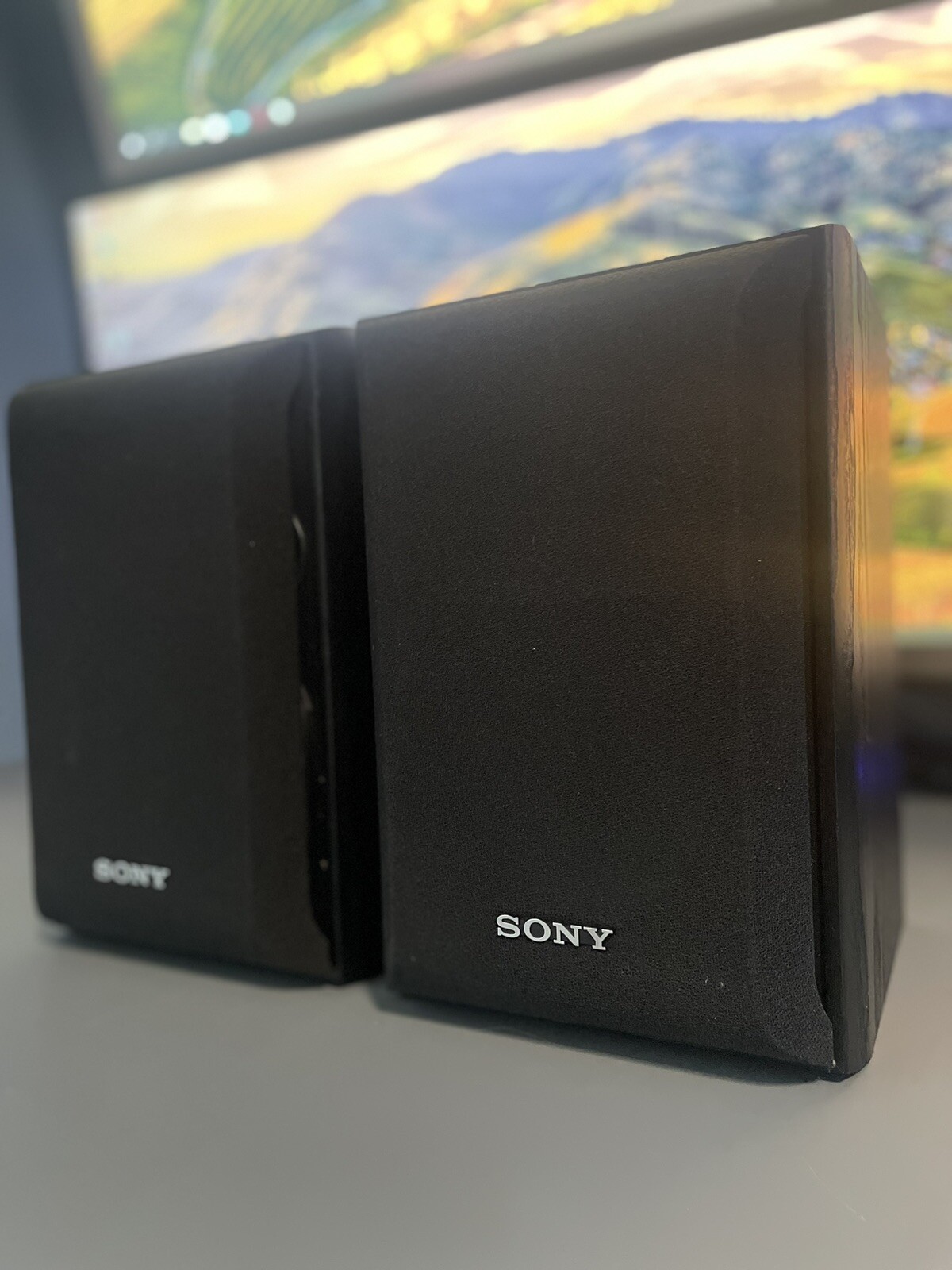 Sony SSB1000 Performance Bookshelf Speaker System Pair 120W Black