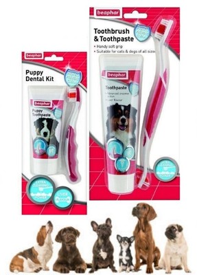 beaphar puppy dental kit
