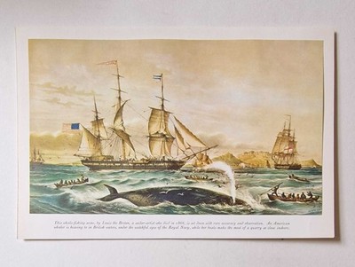 LOUIS THE BRETON American Whaling Ship in British Waters, 1967 Book Plate Repro