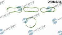 Dr.Motor Automotive Dichtungssatz AnsaugkrüMmer FüR Ford Fiesta VI B-Max JK