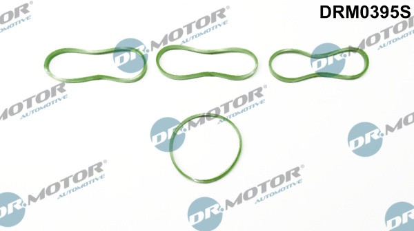 Dr.Motor Automotive Dichtungssatz AnsaugkrüMmer FüR Ford Fiesta VI B-Max JK-image