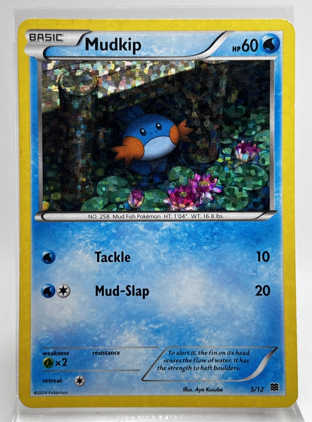 Mudkip 5/12 Holo Pokémon Card McDonalds 2014 LP