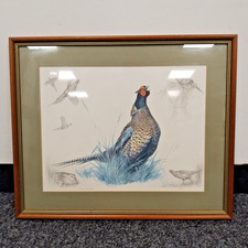 Pheasants / Game Birds Study by Nigel Hemming Framed Mounted Print - 20" X 16.5"