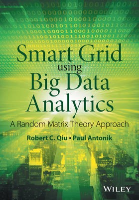 Smart Grid mit Big Data Analytics, Paul Antonik