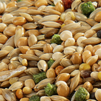 Versele Wellensittiche Premium 20Kg