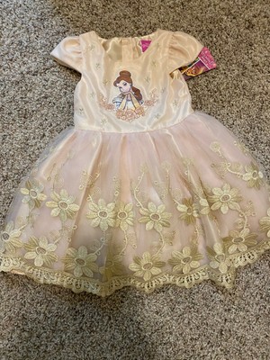 3t princess dress