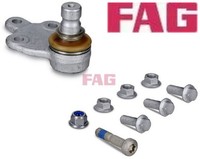FAG 825045410 Trag-/FüHrungsgelenk Traggelenk FüHrungsgelenk FüR Ford