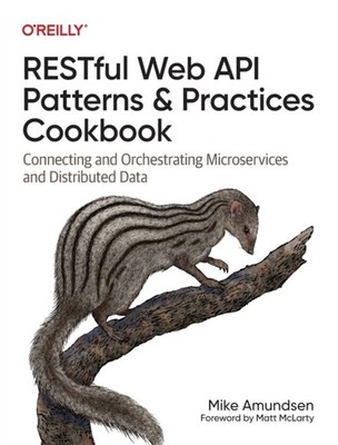 Restful Web API Patterns and Practices Cookbook by Mike Amundsen PAPERBACK