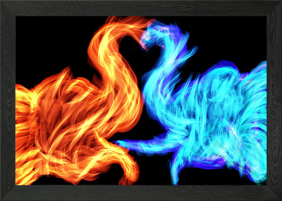 Feuerwerk Elefanten Liebe Gerahmtes Wandbild Poster Leinwanddruck Bild