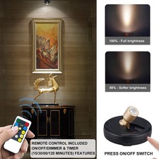 LED wireless spotlight with Remote Control Dimmable Timer Indoor Downward