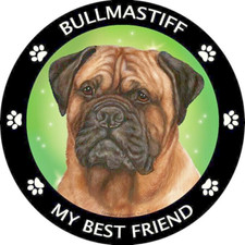 Limited Ed. BULLMASTIFF DOG ANIMAL Pendant 925 Sterling Silver 22" Chain