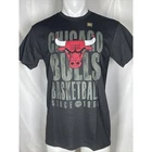 Chicago Bulls NBA Junk Food Black 1966 Men's Logo T-Shirt NEW