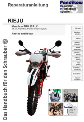 Reparaturanleitung RIS Rieju Marathon Pro 125 LC, 4T, Antrieb und Motor
