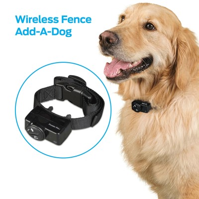 premier pet wireless dog fence system