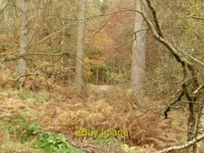 Photo 6x4 Logging road, Bedstone Hill Mynd/SO3574 Not the old byway show c2021