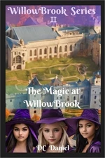 The Magic of WillowBrook (Paperback or Softback)