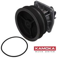 Kamoka T0112 Wasserpumpe Wapu FüR Fiat FüR Lancia