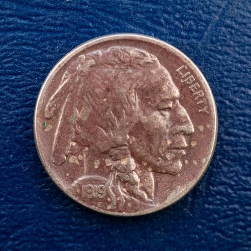 1919 Buffalo Nickel, XF Condition, Strong Full Horn, Early Better Date D203