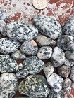 42 Natural Pacific Ocean Beach Stones Rocks Hand Picked from California Beaches — photo 4