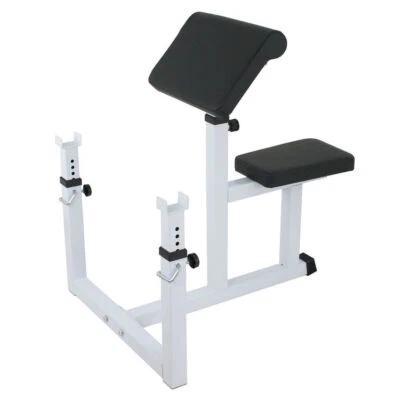 SEGAWE Commercial Weight Bench Seated Preacher 440lbs Strength Training Home Gym Use