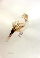 Bird,  Birds, Watercolor artwork, Handmade, Original painting on paper