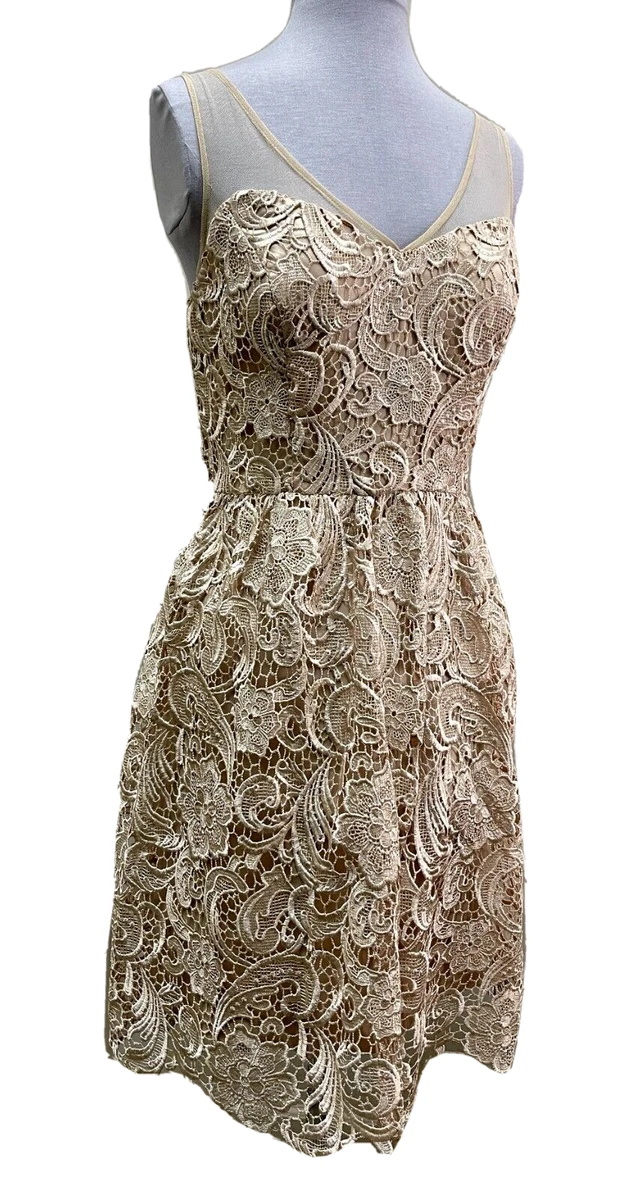 Adrianna Papell BLUSH LACE Sleeveless Knee length SEMI FORMAL DRESS 12 Petite