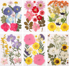 72 Pcs Dried Pressed Flowers for Resin Molds Real Pressed Flowers Dry Leaves Bul