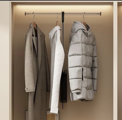 Pull Down Closet Rod, 26 Inch Soft-Close Buffering Clothing Organizer, Stainless