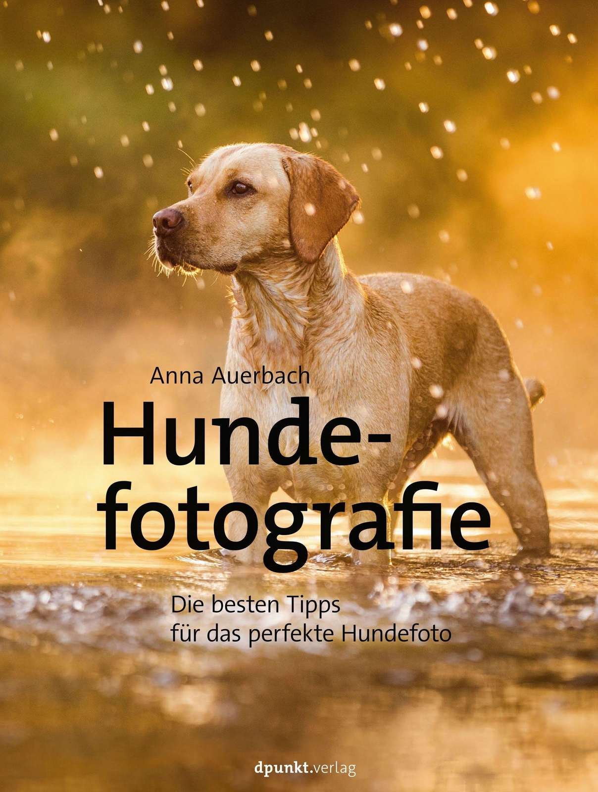 Thumbnail - Hundefotografie | Buch | 9783864906909